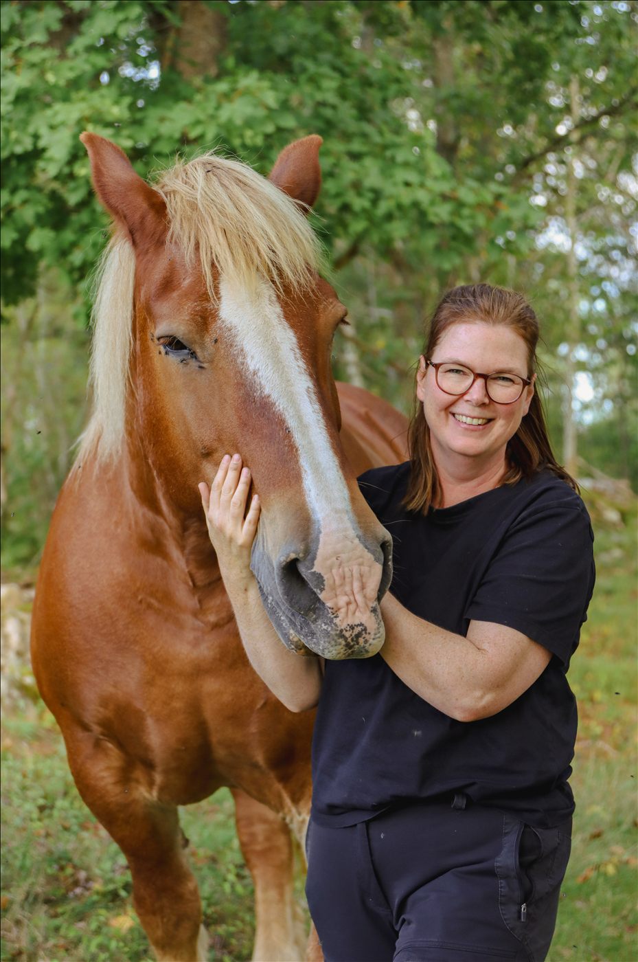 Bild från Veterinär Louise Karlssons verksamhet